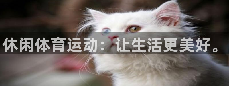 yy易游官网下载招商电话是多少：休闲体育运动：让生活