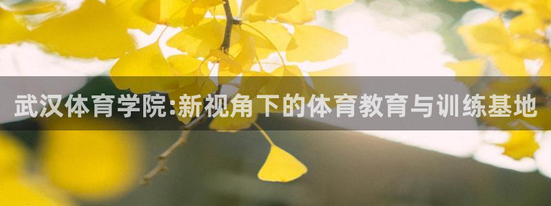 yy易游官网下载招商电话：武汉体育学院:新视角下的体育教育与