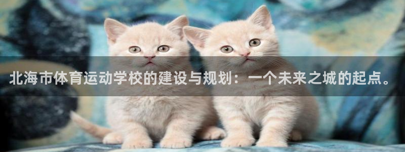 yy易游官网下载招商电话地址：北海市体育运动学校的建设与规划