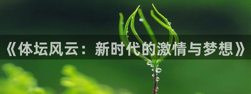 yy易游官网下载是干嘛的公司：《体坛风云：新时代的激