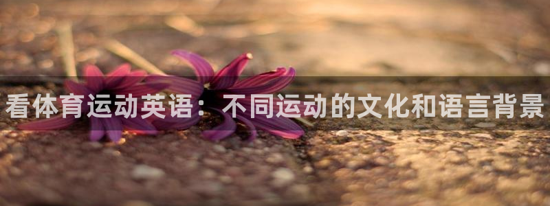 yy易游官方正版app官方：看体育运动英语：不同运动