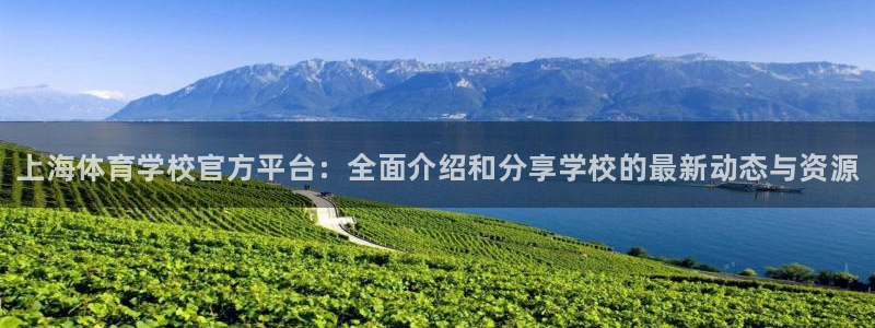 yy易游官方正版app集团E.ON：上海体育学校官方