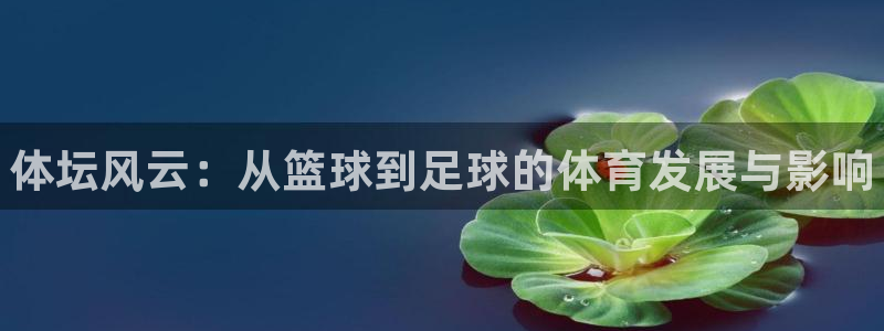 yy易游官网下载联系电话：体坛风云：从篮球到足球的体育发展与