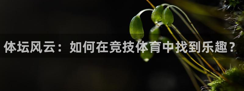 yy易游官网下载平台是正规平台吗知乎：体坛风云：如何
