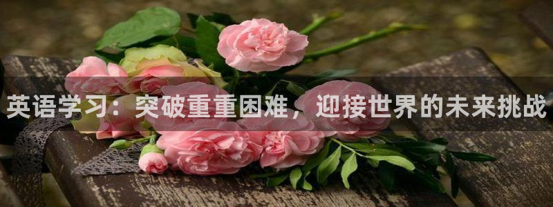 德国yy易游官方正版app集团：英语学习：突破重重困难，迎接