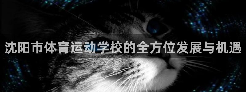 yy易游官方正版app神州：沈阳市体育运动学校的全方位发展与