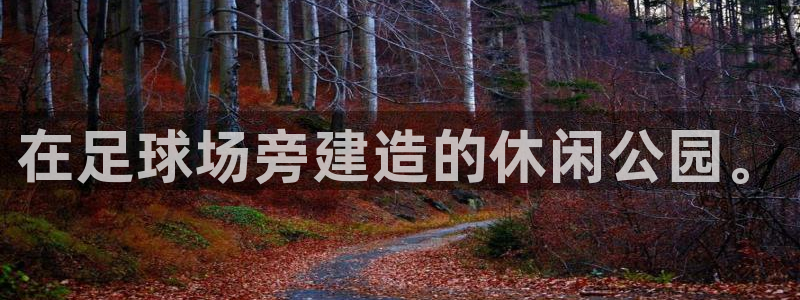 注册yy易游官方正版app：在足球场旁建造的休闲公园。