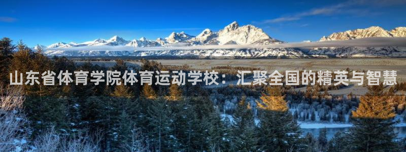 yy易游官网下载招商电话号码查询：山东省体育学院体育