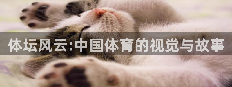 yy易游官网下载招商电话号码是多少啊