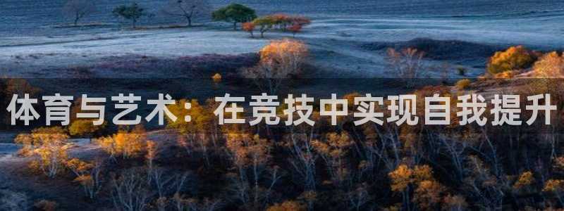 yy易游官方正版app官方：体育与艺术：在竞技中实现自我提升