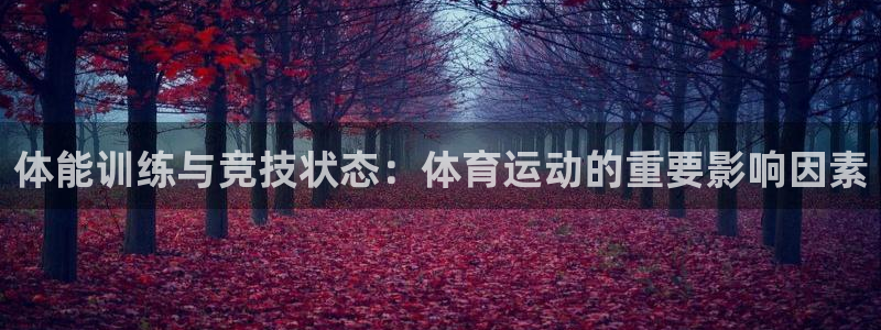 yy易游官网下载招商电话号码查询是多少：体能训练与竞技状态：
